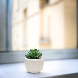 Geometric Pot  4"W - 6.7"W