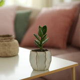 Beige Unique Pot