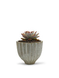 Fancy White Acorn Ceramic Vase