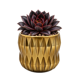 Unique Gold Ceramic Pot