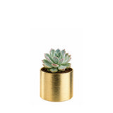 Ceramic Cylinder Vase 6"