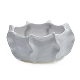 Cache Bowl