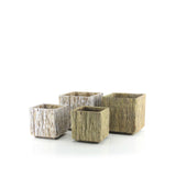 Bark Planter Collection