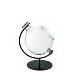 Globe Terrarium