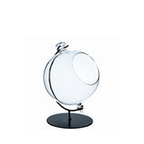 Globe Terrarium